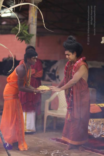 File:20160116 Photo 1402 1suyDggdEA-bK9peKD4dN3vyOYDVCIxsh.JPG