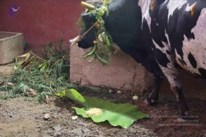 20160116 Photo 1408 1UrxZXNTT7LJBHiJTsLo o2l6guw6eiLV.JPG