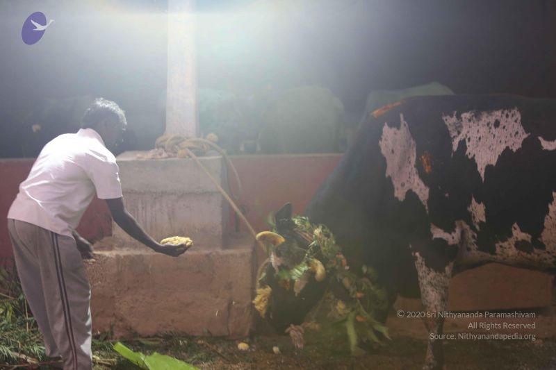 File:20160116 Photo 1409 1bokdeJPA iJ4OppKLtzWJVm5ZotrcF4o.JPG