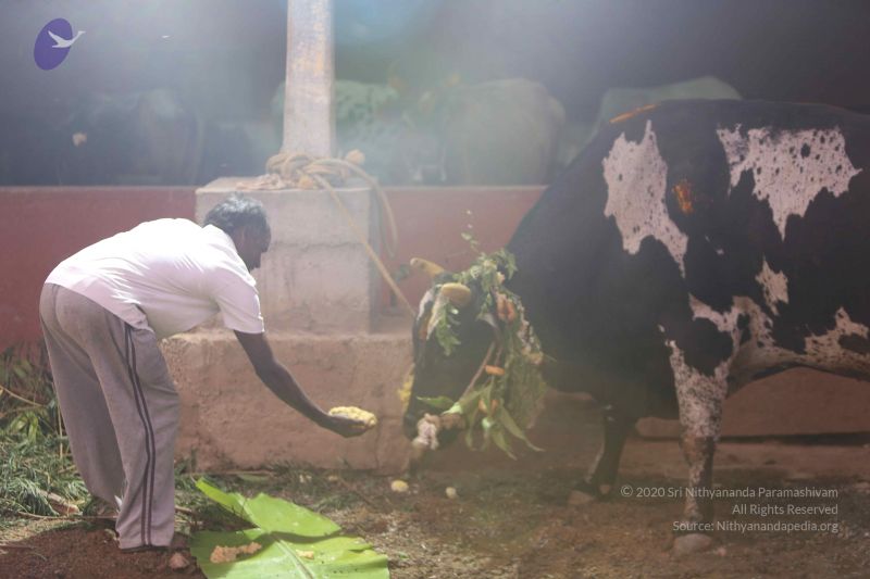 File:20160116 Photo 1410 19DkNLxGbHnqztB3jj3VcaD2o7UxZUqfz.JPG