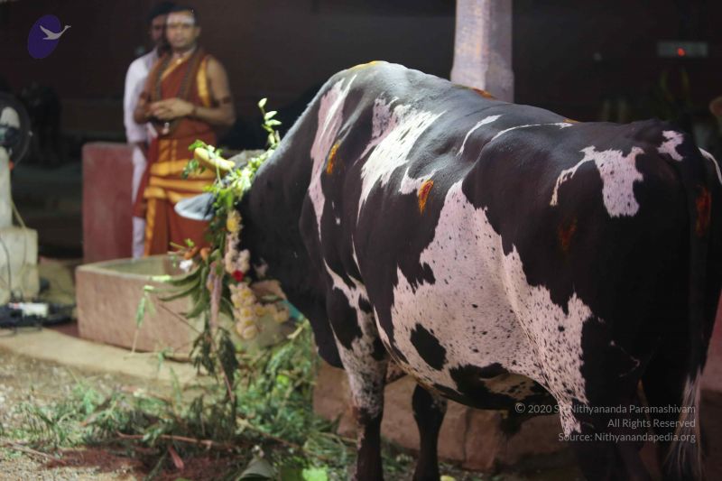 File:20160116 Photo 1414 18rfFuS0yDksVhJAa9-QP8uDx4vhO3EwA.JPG