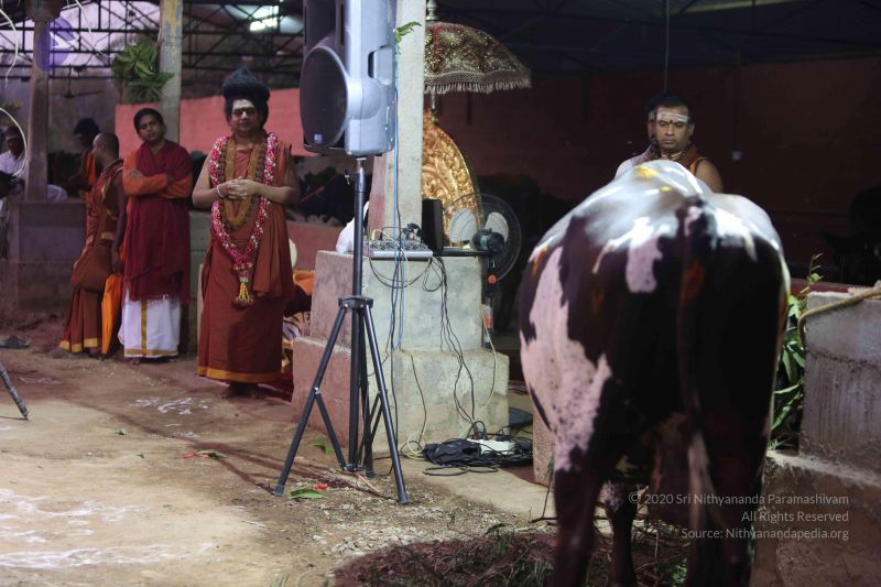 File:20160116 Photo 1415 1XOepH-mQcwvEGFxwiYC4wWjj9p7PQZGl.JPG