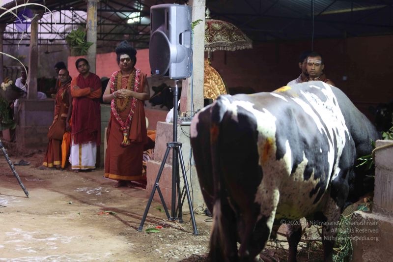 File:20160116 Photo 1416 1So-QRatvZC6fAqRiSgAaThu4p01vhwO1.JPG