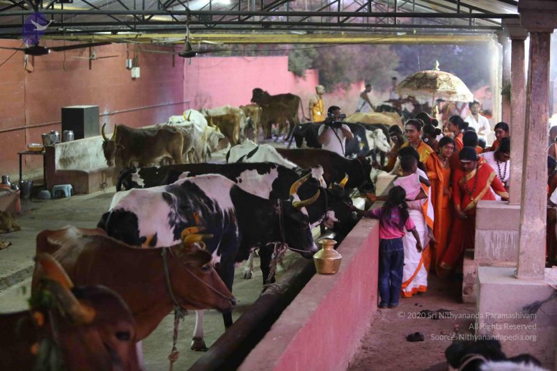 File:20160116 Photo 1430 1R5gyHgLof01N9AaX85VSUiOJLQwoFkD1.JPG