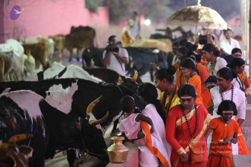 File:20160116 Photo 1431 118iNXfM896F4nGkE06NlS1L7gob0IRZL.JPG