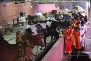 20160116 Photo 1432 1pYCDU9lFWn PkrD8s7T vquerj j0gvw.JPG