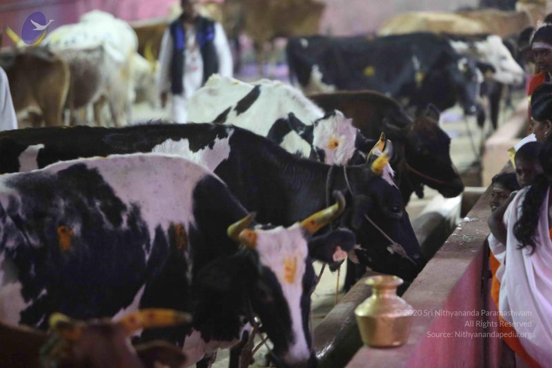 File:20160116 Photo 1434 1GteL-vdr6u8tCsIiREl9RMk5baAVt779.JPG