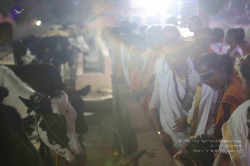 File:20160116 Photo 1437 1fW2O-hetFtPCg8 FoG6PMsqgJhECL65L.JPG