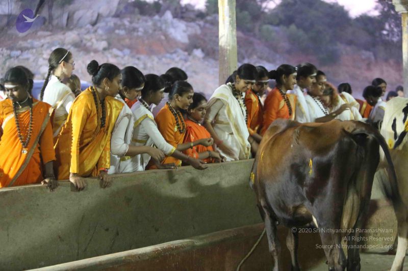 File:20160116 Photo 1439 1gqanyFnx22t89ZPJgG3fmSquKCbpuH89.JPG