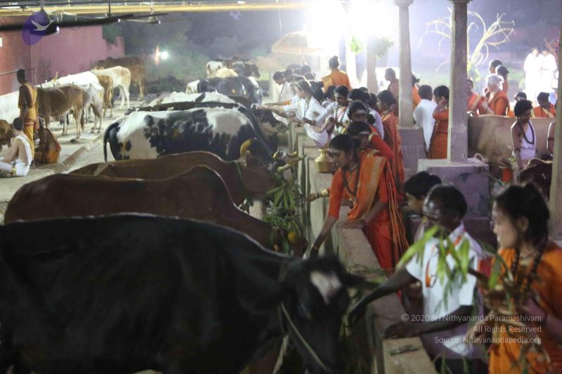 File:20160116 Photo 1442 1DDVJgm5x19HuGJZaajqd3y3idypj0sEA.JPG