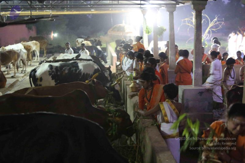 File:20160116 Photo 1443 1XyGeD6AdsujdCJ5j5A4IdyZugslZlhpo.JPG