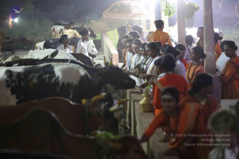 File:20160116 Photo 1445 1hGpQPW1GmlXy9ylQz1QLIlwRP5eVMAbm.JPG