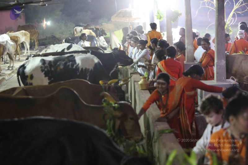 File:20160116 Photo 1446 1sh4n6GAiHI4nojdVuOjnov3OIYypdHf1.JPG