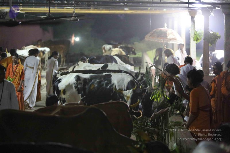 File:20160116 Photo 1452 1jik55P5BFyBg10Y5SfjUcVwQ8Guuf33A.JPG