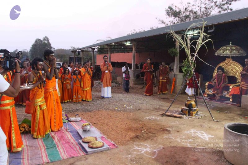 File:20160116 Photo 1470 1namBcm2T-D1hb9HOfrIjbzFPo0 a0ovJ.JPG