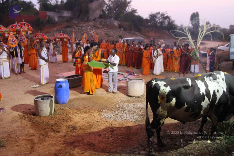 File:20160116 Photo 1479 1jNSDpvEj1KscgUMXOcIfz6PQUVUYCu8t.JPG