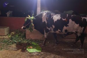 20160116 Photo 1485 1CF352X3ii8GR3g-AjhGSgfsiX7DcMt2R.JPG