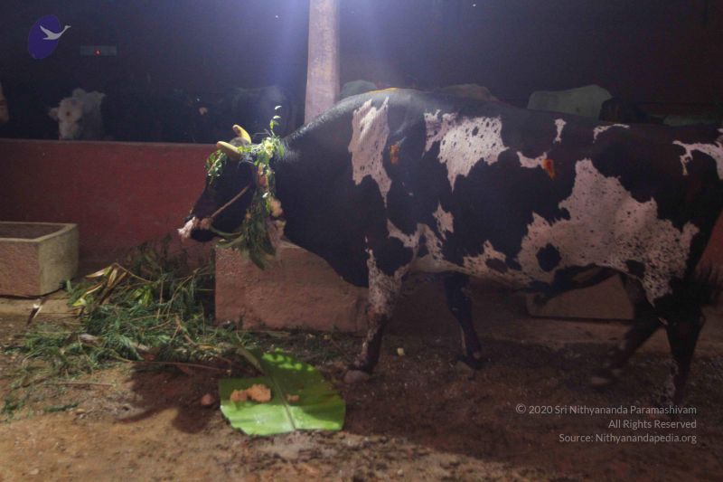 File:20160116 Photo 1485 1CF352X3ii8GR3g-AjhGSgfsiX7DcMt2R.JPG