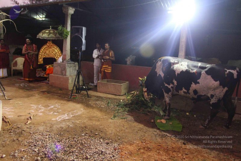 File:20160116 Photo 1486 1PjAah0ejKbC7w95Kw7vVyI2r1wqRHUr9.JPG