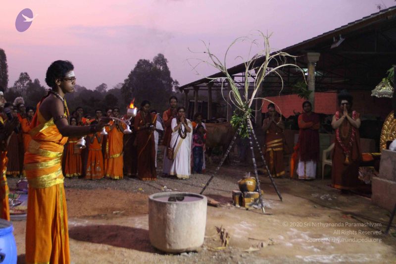 File:20160116 Photo 1490 1z-bPVHx9VrJEc7p1sEhTIqFvWIg5 anc.JPG