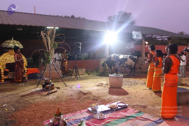 File:20160116 Photo 1494 1Y6MSnAiovFDZl8fN2Bf99TdC9hOyK3TS.JPG