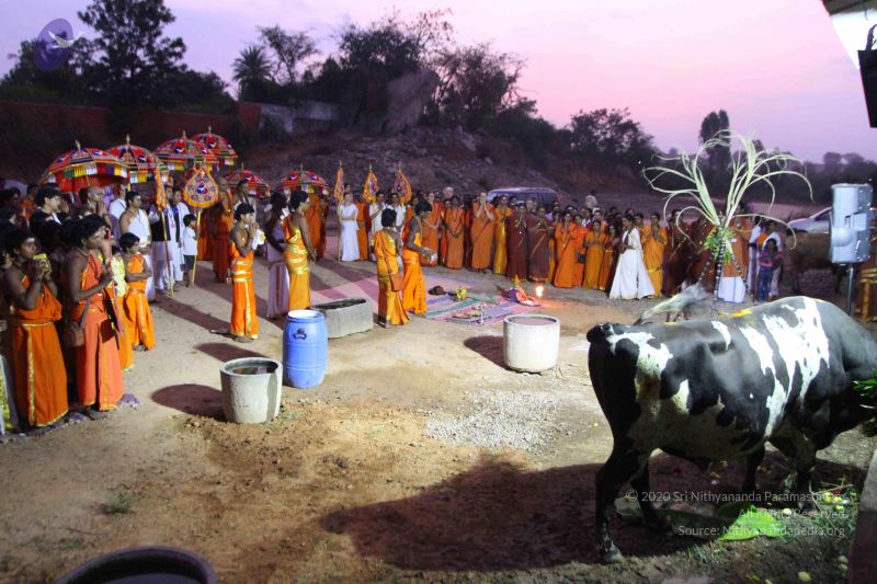 File:20160116 Photo 1500 1PR W0jE5 1EfR7tlandfQbMRWmSTZoZq.JPG