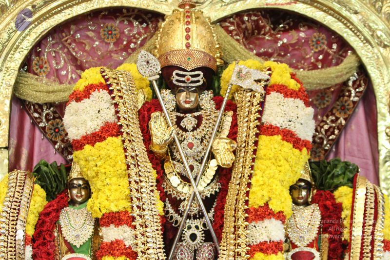 File:20160124 Photo 1001 1xnahnCO1E6D1rNDB54dV2gmZCHbcMnIl.JPG