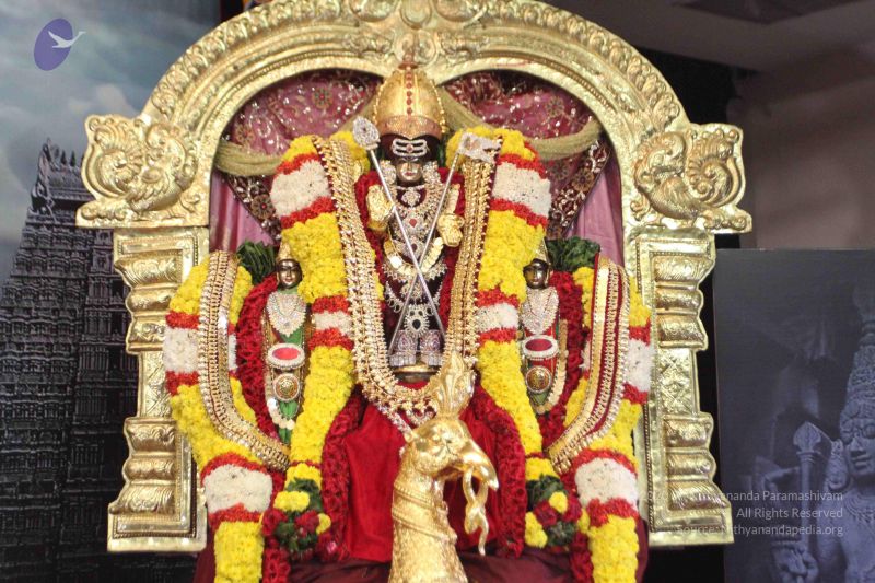 File:20160124 Photo 1002 1bSzFoONj-zmqzUwECRlgqThoT7YrmyxI.JPG