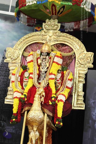 File:20160124 Photo 1004 1-st6of9MS7E5qk4VlKUId4BuD-cp0q2w.JPG