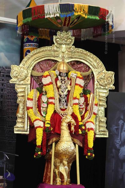 File:20160124 Photo 1013 1pnQsMzR3Jt6uksLaoV6u PdLtAz3S vV.JPG