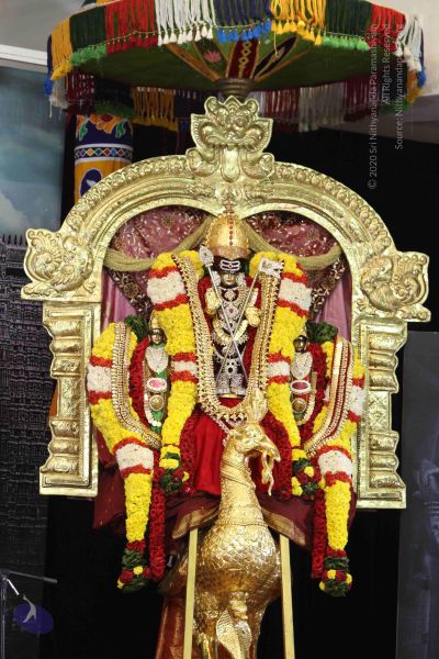 File:20160124 Photo 1014 1KXGn6qc6j5TwusQw5 DC2Ncx9ViXpSD1.JPG