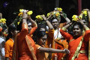 20160124 Photo 1022 1rhcLd7cZ4bNR8cLrN0hzJ5LfOXXoQ3Px.JPG