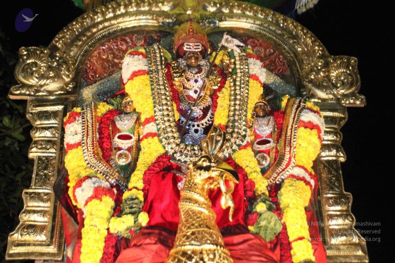 File:20160124 Photo 1025 1uiBeinQ4DQcKmgx5RsF1DJOWPqs2Ft09.JPG