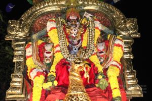 20160124 Photo 1026 1IzVGuhIEx3gwo~nAF-ghiWfuKBOtU0L.JPG