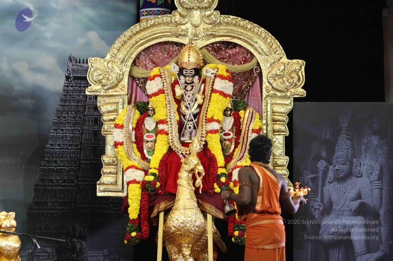 File:20160124 Photo 1027 1hgUHS GIrnhKDQPEN wwlgWHcev S-du.JPG