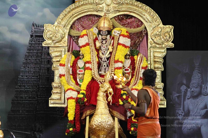 File:20160124 Photo 1028 1iCmJ7mAsPaIr2T8obECUxPPaVfVmzYz0.JPG