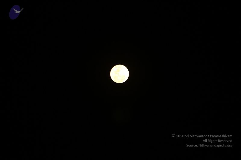 File:20160124 Photo 1031 1i3QcLUcCj3JXY7IKM7UO rI hblVMvRR.JPG