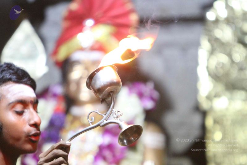 File:20160124 Photo 1057 1uO 9wNvQg1eZLA8WdbU QROkXm-s0LD0.JPG