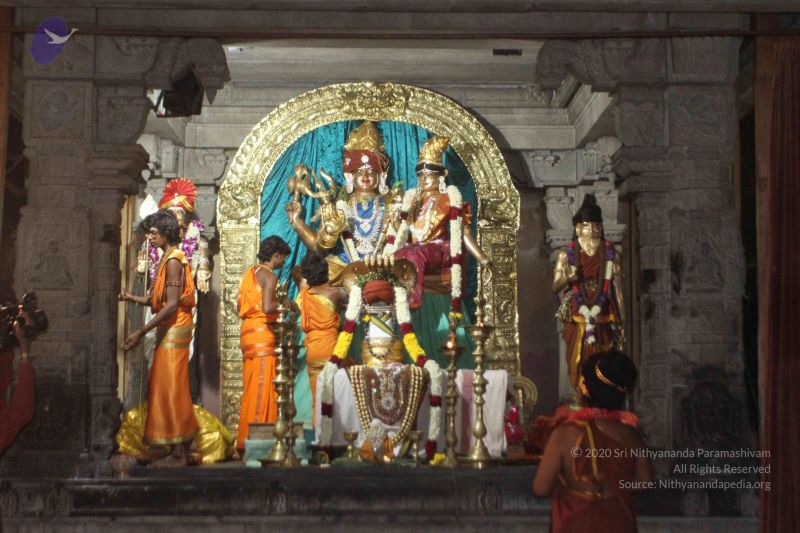 File:20160124 Photo 1064 1eIHosa41rD3EDvKlHcKA3f9OaLDOToVB.JPG