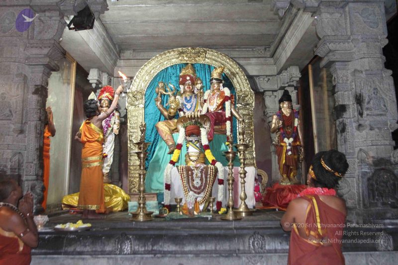 File:20160124 Photo 1072 1MRtRu ebZ1RVV5coyVVN31fuv3h0XJUP.JPG