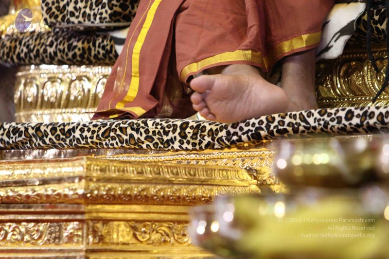 File:20160124 Photo 1168 10poHy2jr0uFny O83oqswI47NEFsFL9o.JPG