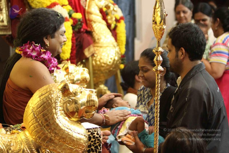 File:20160124 Photo 1196 1cuR0KmyXwuszuVAFyUhCY4wjFH xPrtD.JPG