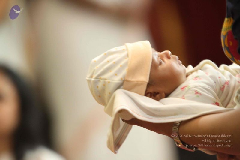 File:20160124 Photo 1198 1O3mLdtUSJSooawlWrgU3AfmQmoEoId47.JPG