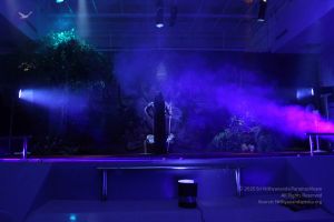 20160204 Photo 1076 1LFhrNFCIeVEf7EzZAIqOF6BEGJV5fmGK.JPG