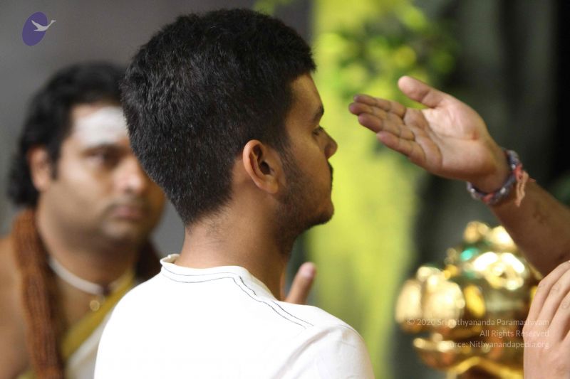 File:20160206 Photo 1060 1Ylpdsb6V42tY77ypdC4Z2E7t5So3TB0u.JPG