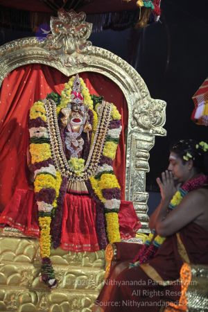 20160216 Photo 1290 1rS2c6EG9ZpoWkP7t Wmq34IcZ1D2oyoC.JPG