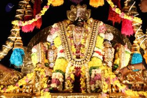 20160217 Photo 1143 1gaKKFpwKrnmMYW4gza8bd-DTPJwt68OD.JPG