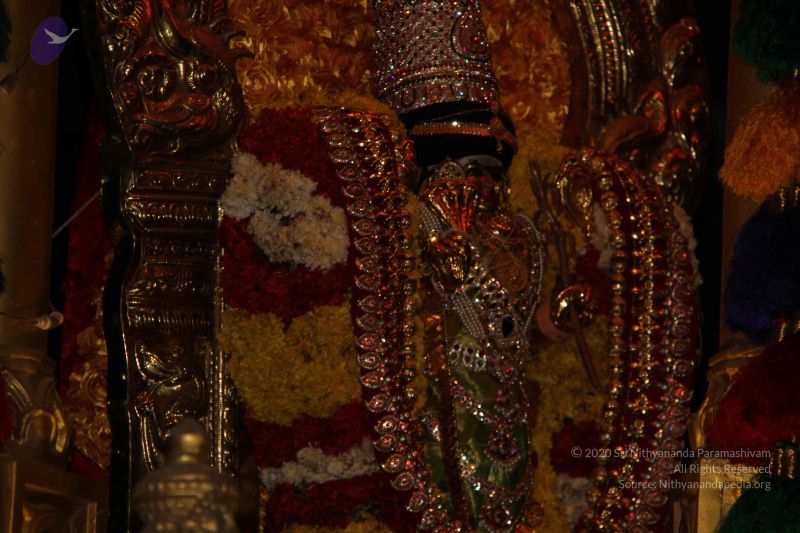 File:20160221 Photo 1003 1AMRkrsFIJzBjl153ao9Wph46-Z1Rq-3M.JPG