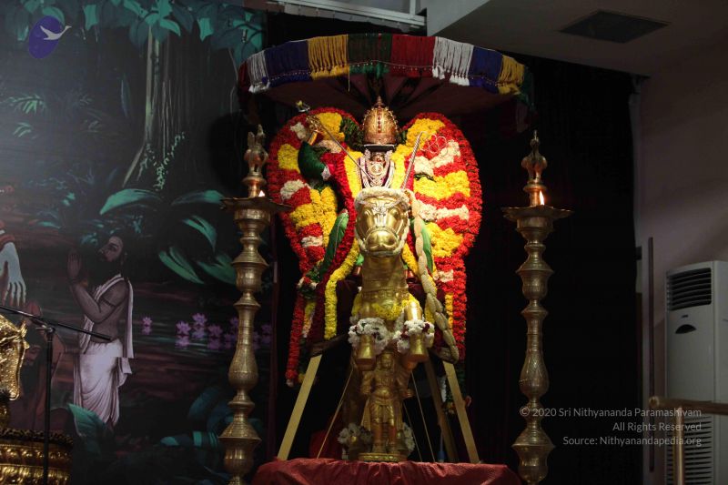 File:20160221 Photo 1148 1pzt8Xf5vLhuW-onuU8lJsy-SlcYaeBEg.JPG