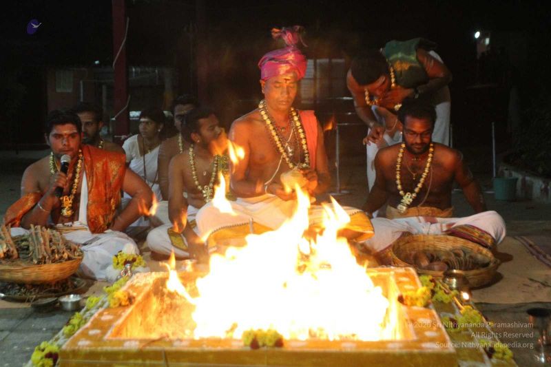 File:20160222 Photo 308 1FpjTK962g0v1D6-OJVUPqqUhsZkPQHPH.jpg